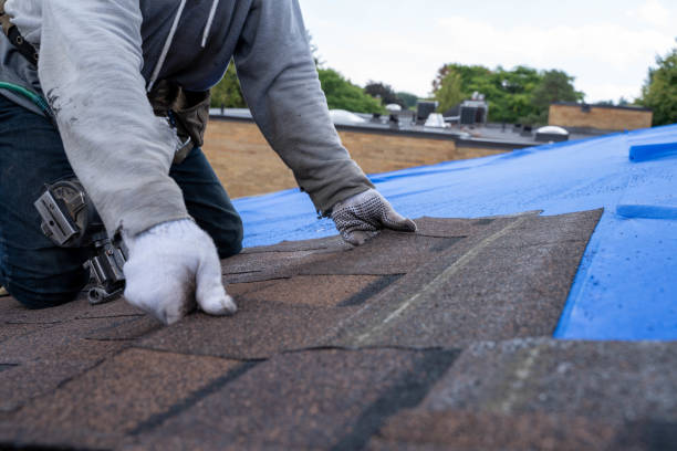 Best Flat Roof Repair Services  in Madison, NC